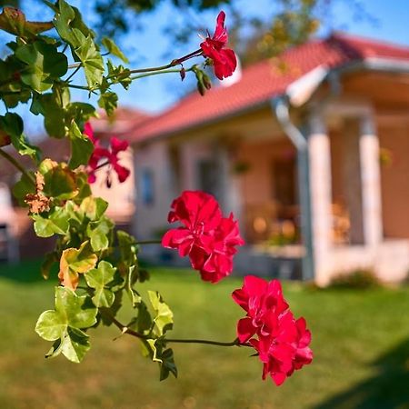 Villa Simida Debnevo Εξωτερικό φωτογραφία
