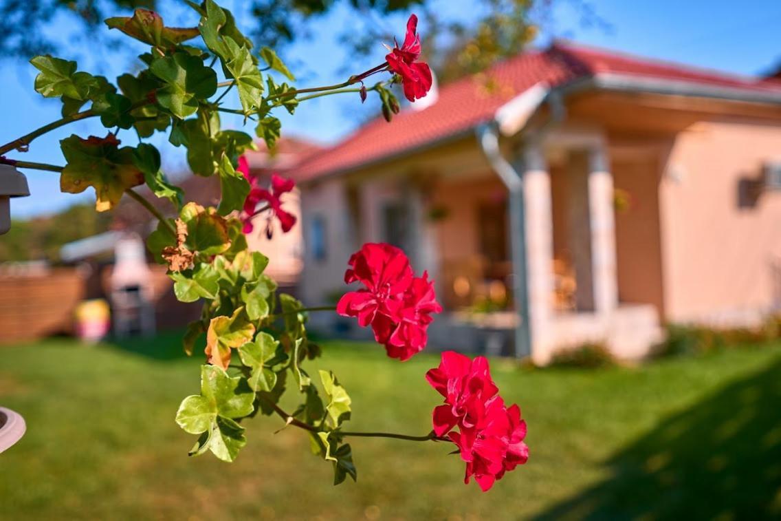 Villa Simida Debnevo Εξωτερικό φωτογραφία